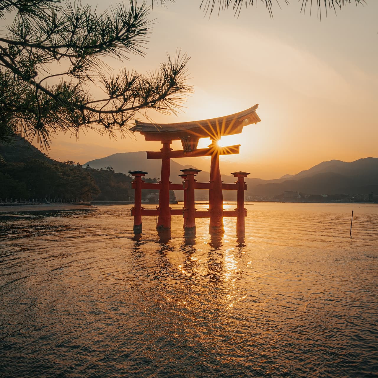 Asia