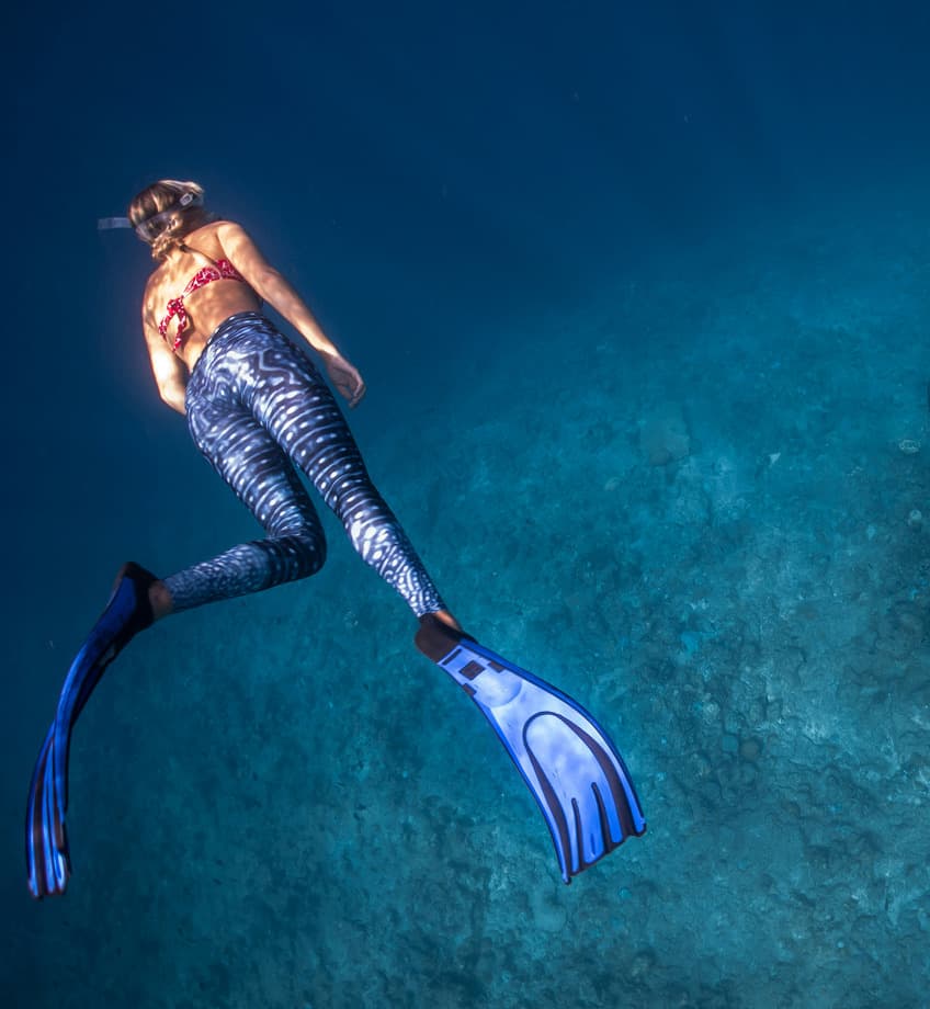 Snorkelling & Diving